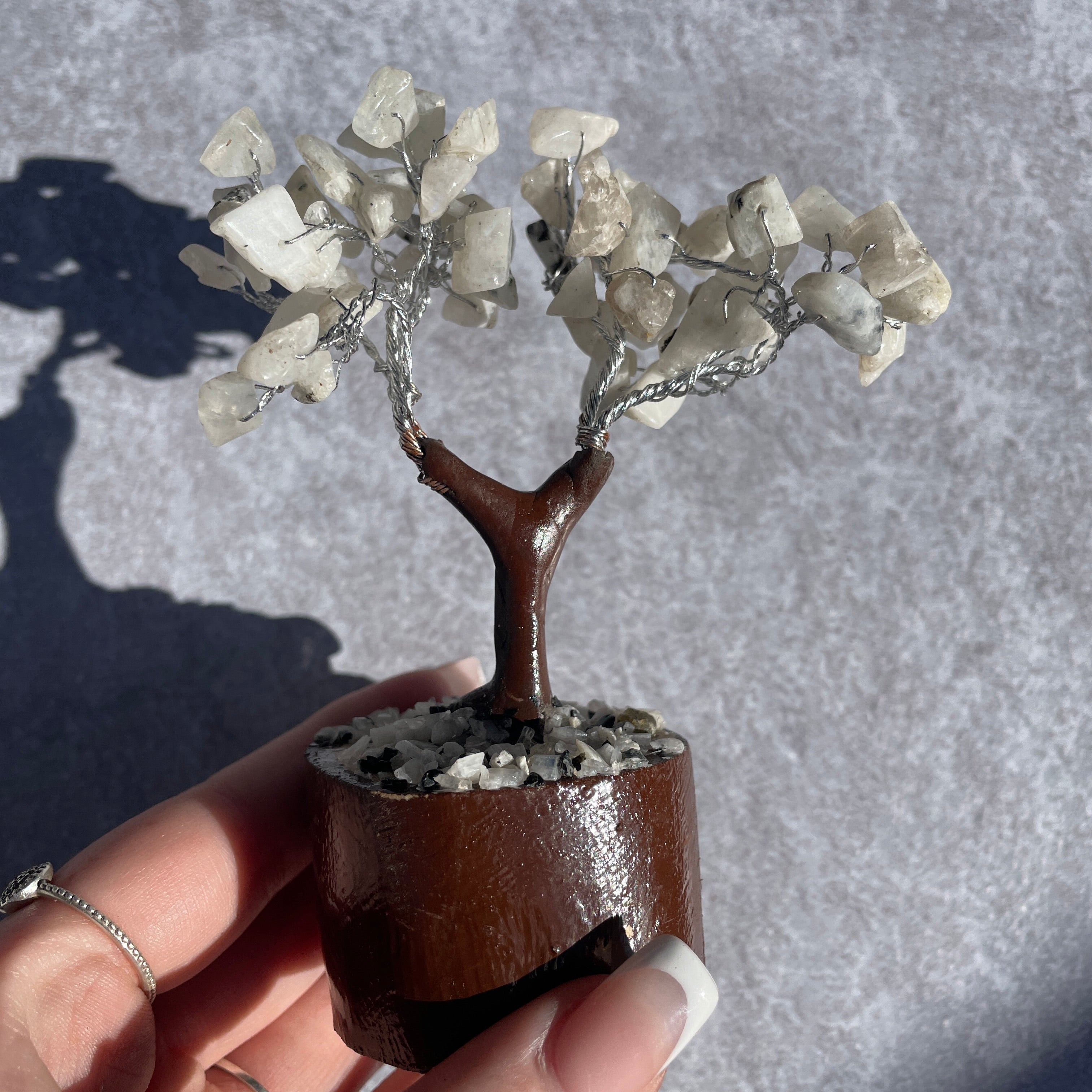 Rainbow Moonstone Tree - Mini Rainbow Moonstone Tree - Mini